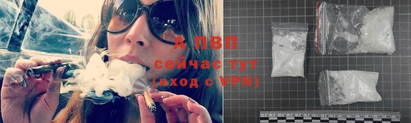 стафф Михайлов