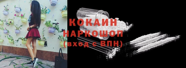 стафф Михайлов