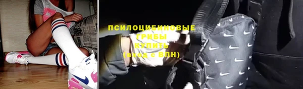 стафф Михайлов