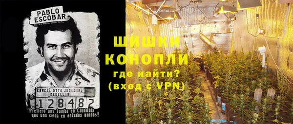 стафф Михайлов