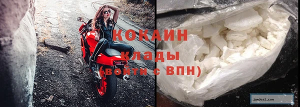 стафф Михайлов