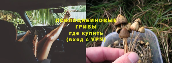 стафф Михайлов